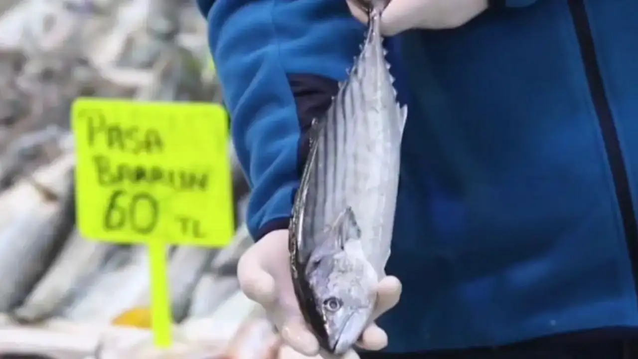 Antalya'da Şubatta Hangi Balıklar Yenir? 3